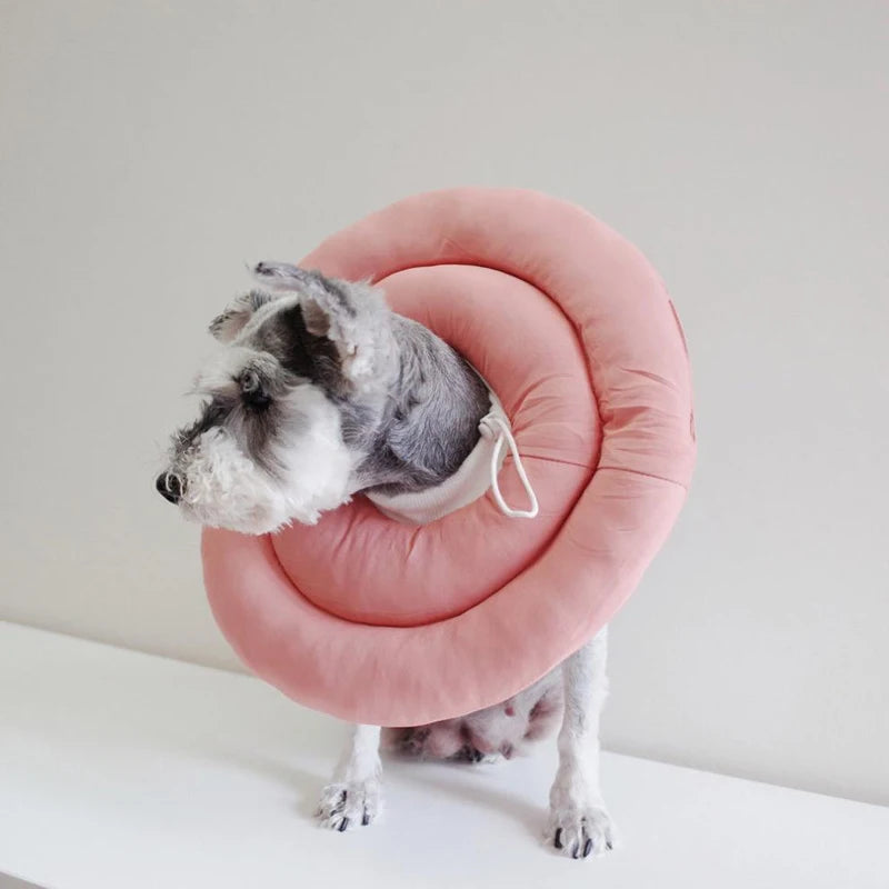 Pet Elizabethan Protective Collar