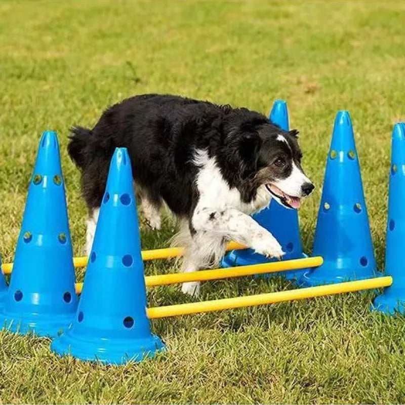 Dog Agility Training Set – Jumping Bar Obstacle Equipment