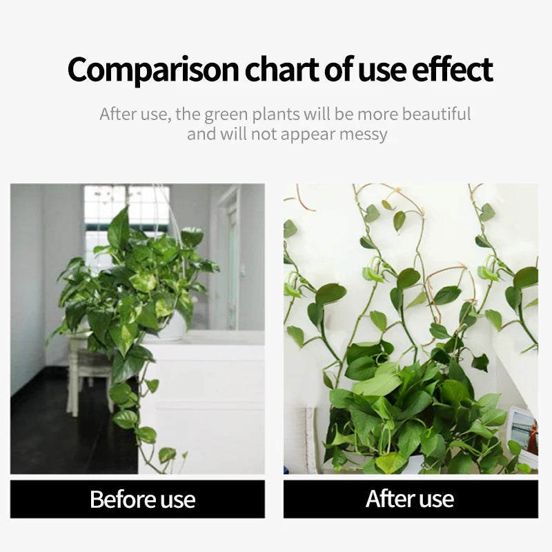 Self-Adhesive Plant Climbing Wall Clips for Vines & Cable Management