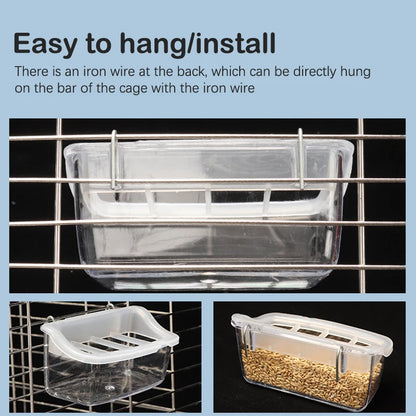 Transparent Spill-Proof Bird Feeder & Water Dispenser