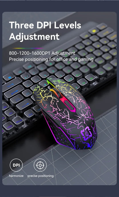 Silent RGB Wireless Gaming Mouse with Type-C Charging