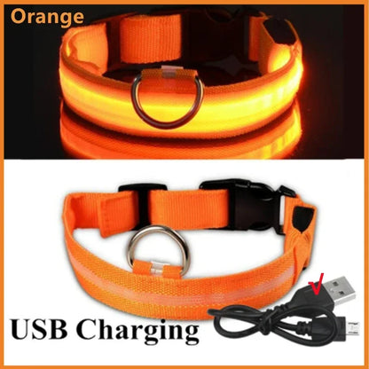 LED Luminous Dog Collar