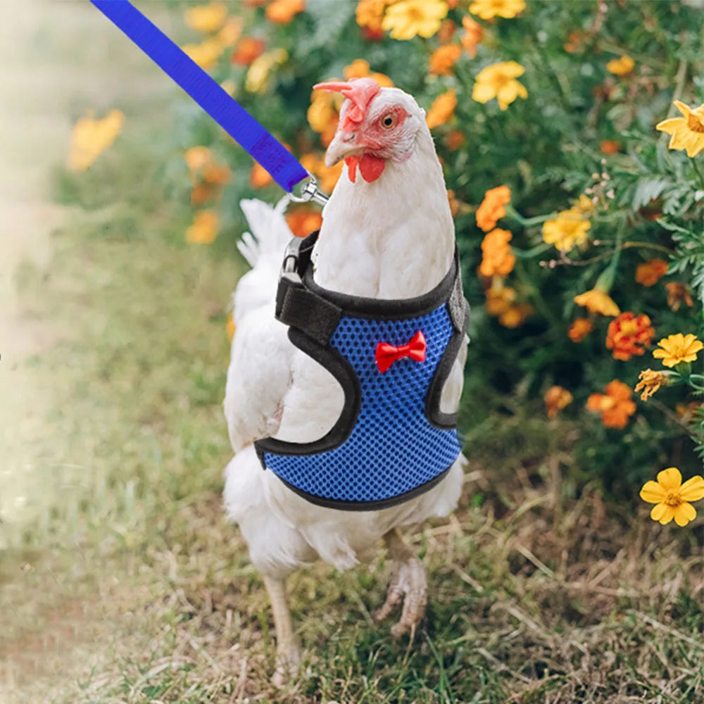 Adjustable Poultry Harness & Leash Set