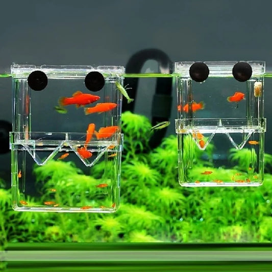 Aquarium Fish Breeding Isolation Box