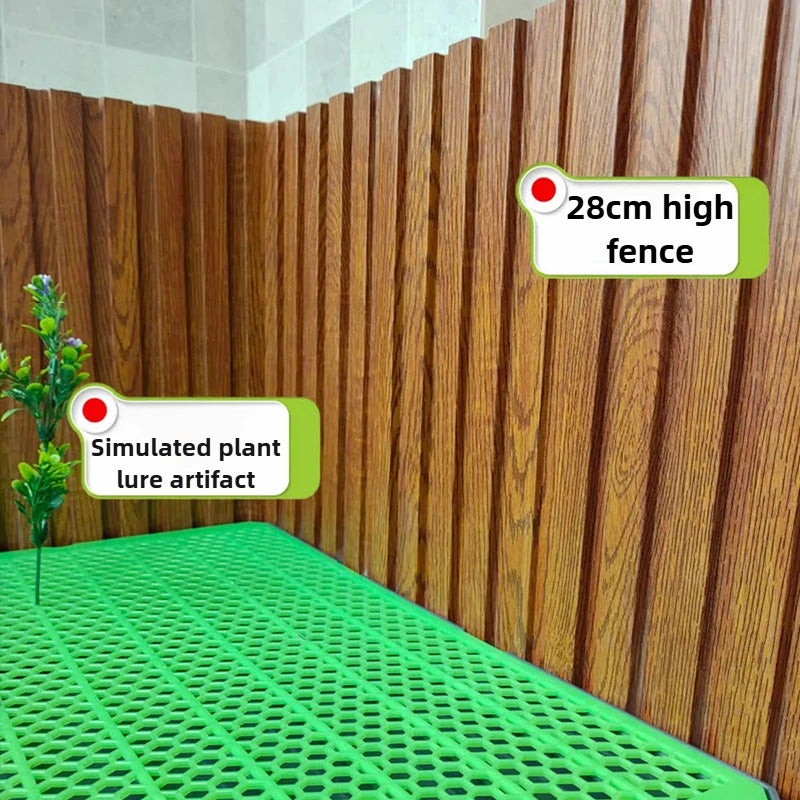 Flush Dog Toilet with Direct Drainage System