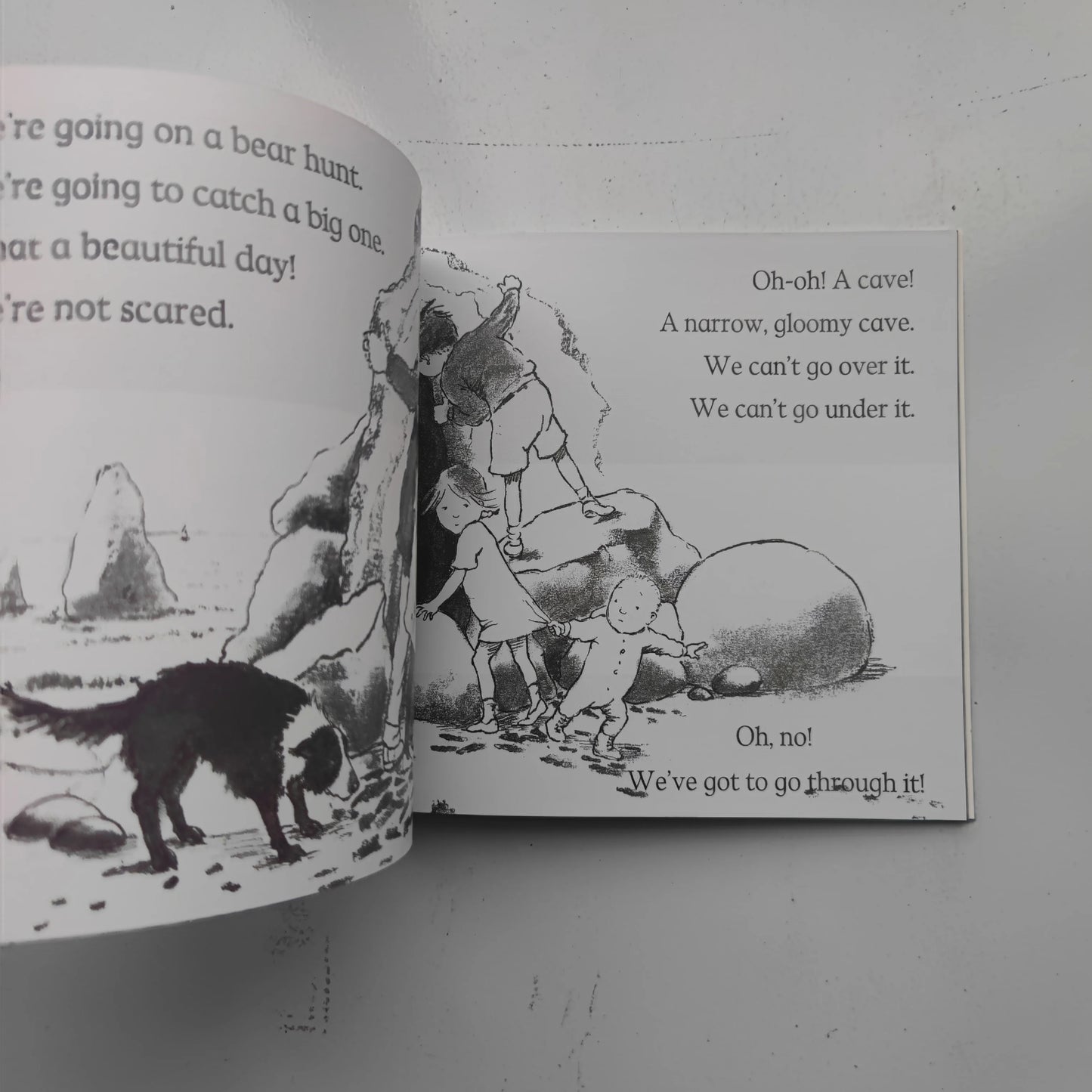 We're Going on a Bear Hunt Story Book