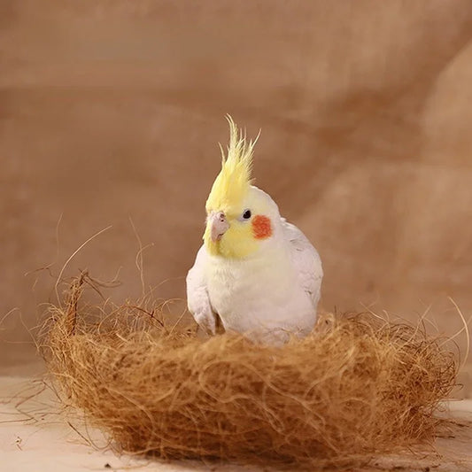 Coconut Fiber Bird Nesting Material
