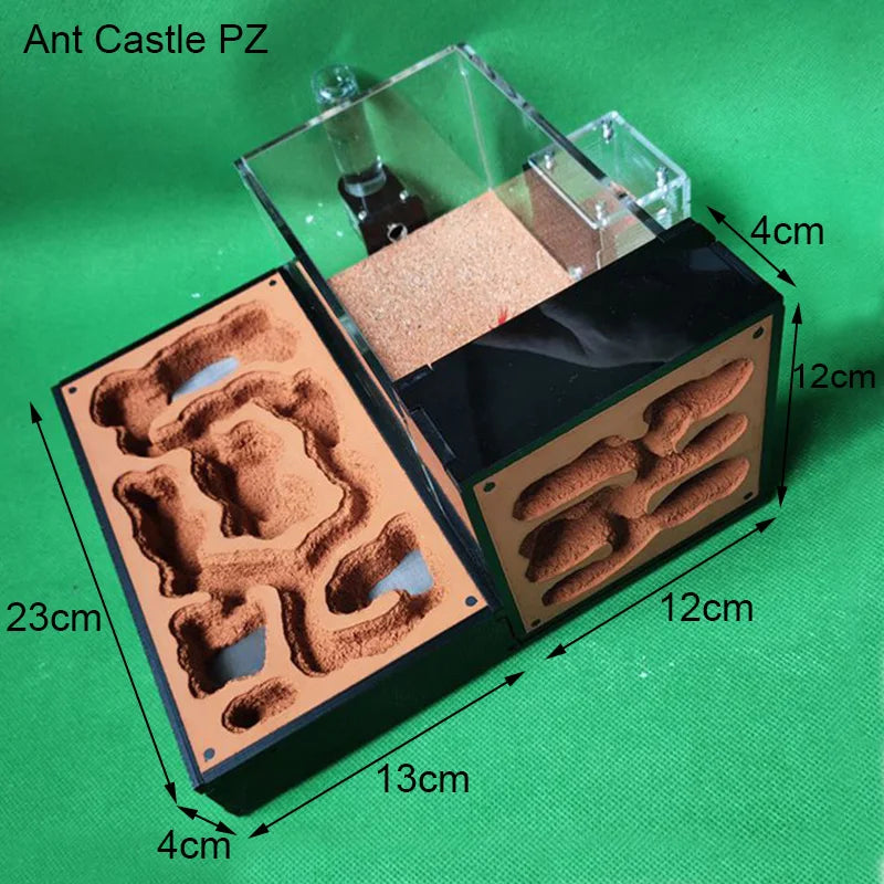 Large Acrylic Ant Farm with Gypsum Nest & Observation Arena