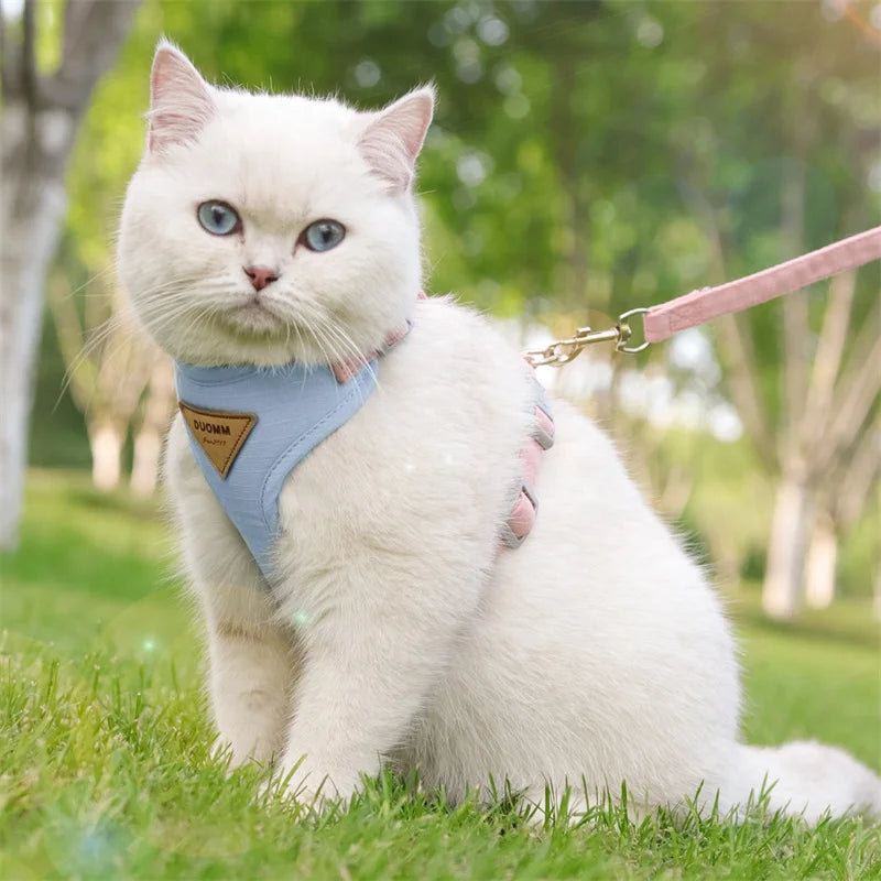 Breathable Cat Harness & Leash Set