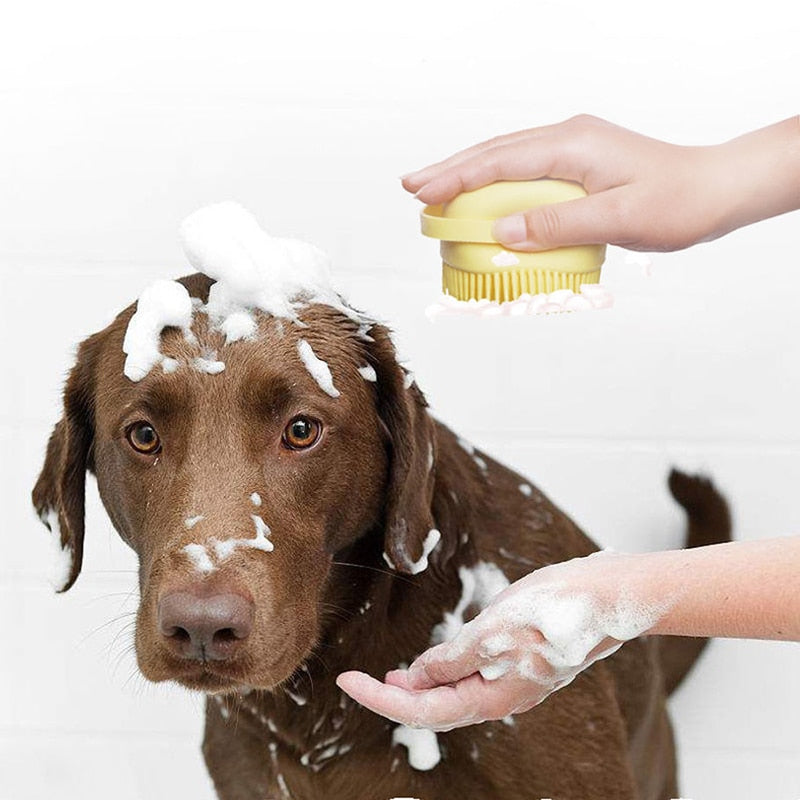 Bathroom Puppy Brush