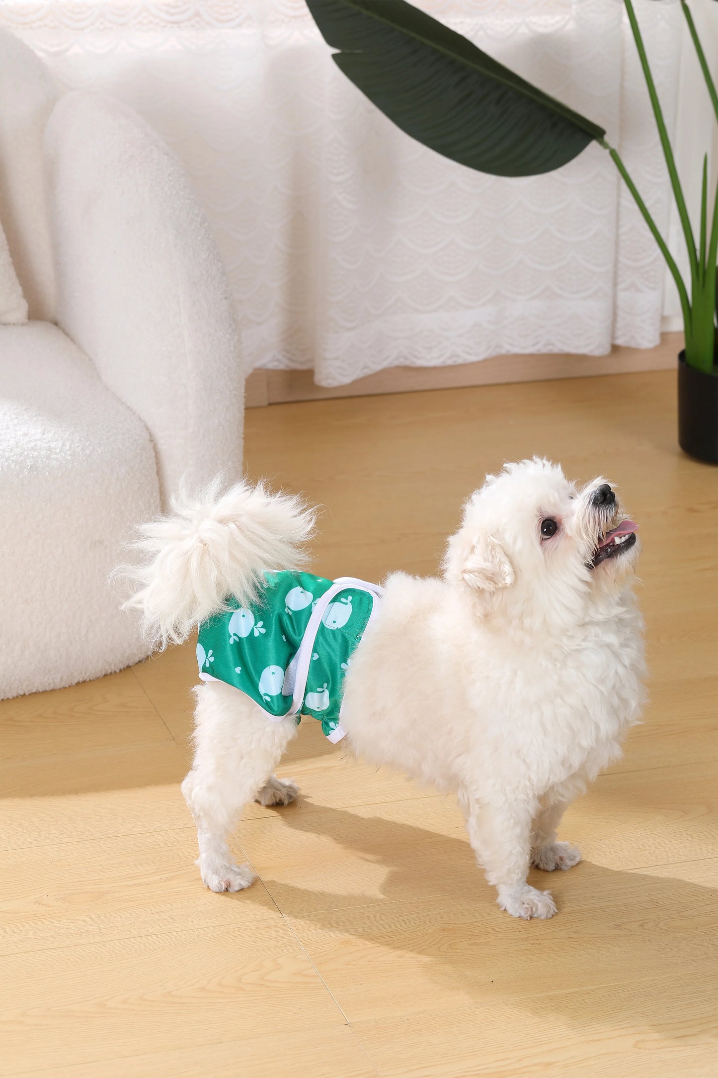 Washable Female Dog Diapers with Adjustable Fit