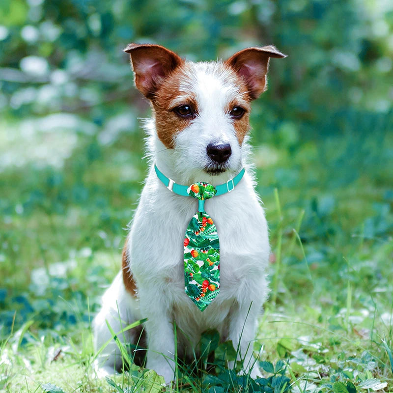Dog Bow Tie Grooming Accessories Set