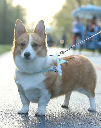Colorful No-Pull Adjustable Dog Harness