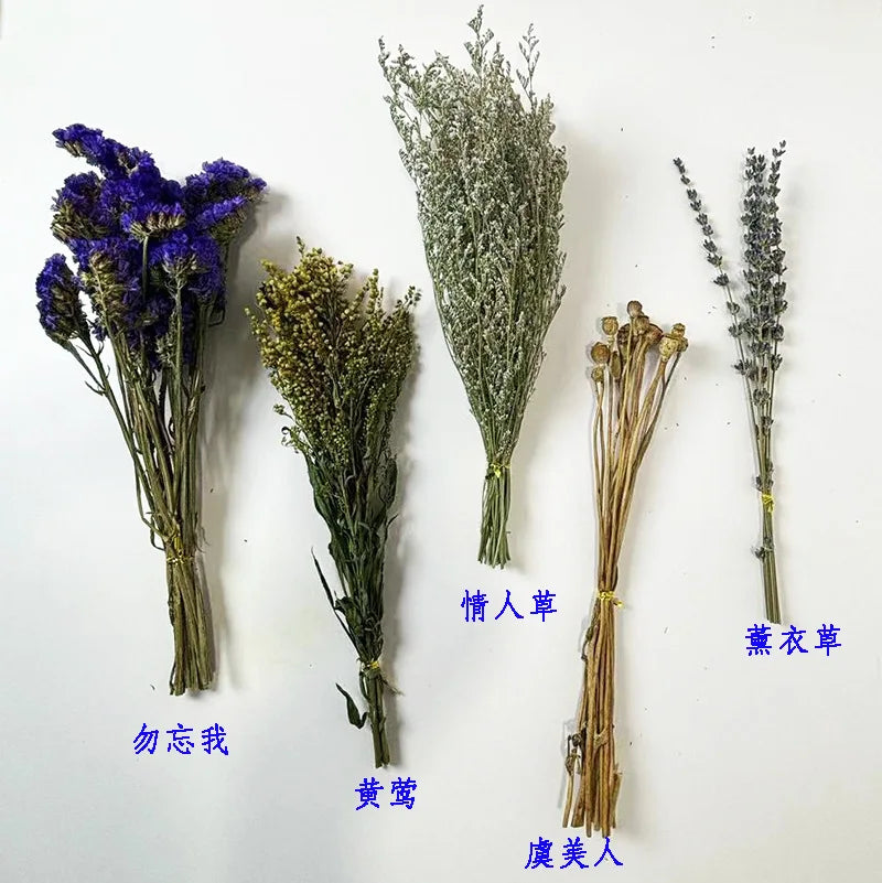 Natural Dried Flower Habitat Decor for Small Pets