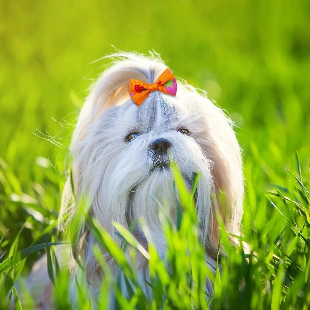 10Pcs Cute Pet Hair Bow Accessories