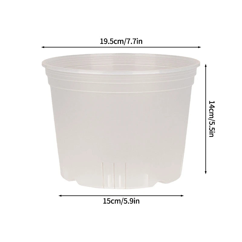 Transparent Nursery Plant Pot