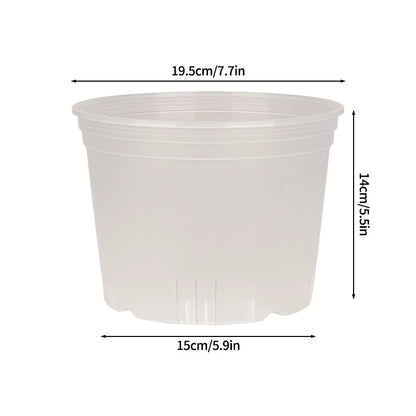 Transparent Nursery Plant Pot