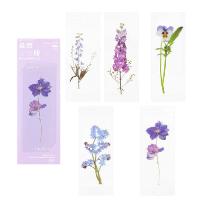 Translucent Flower Bookmark Set