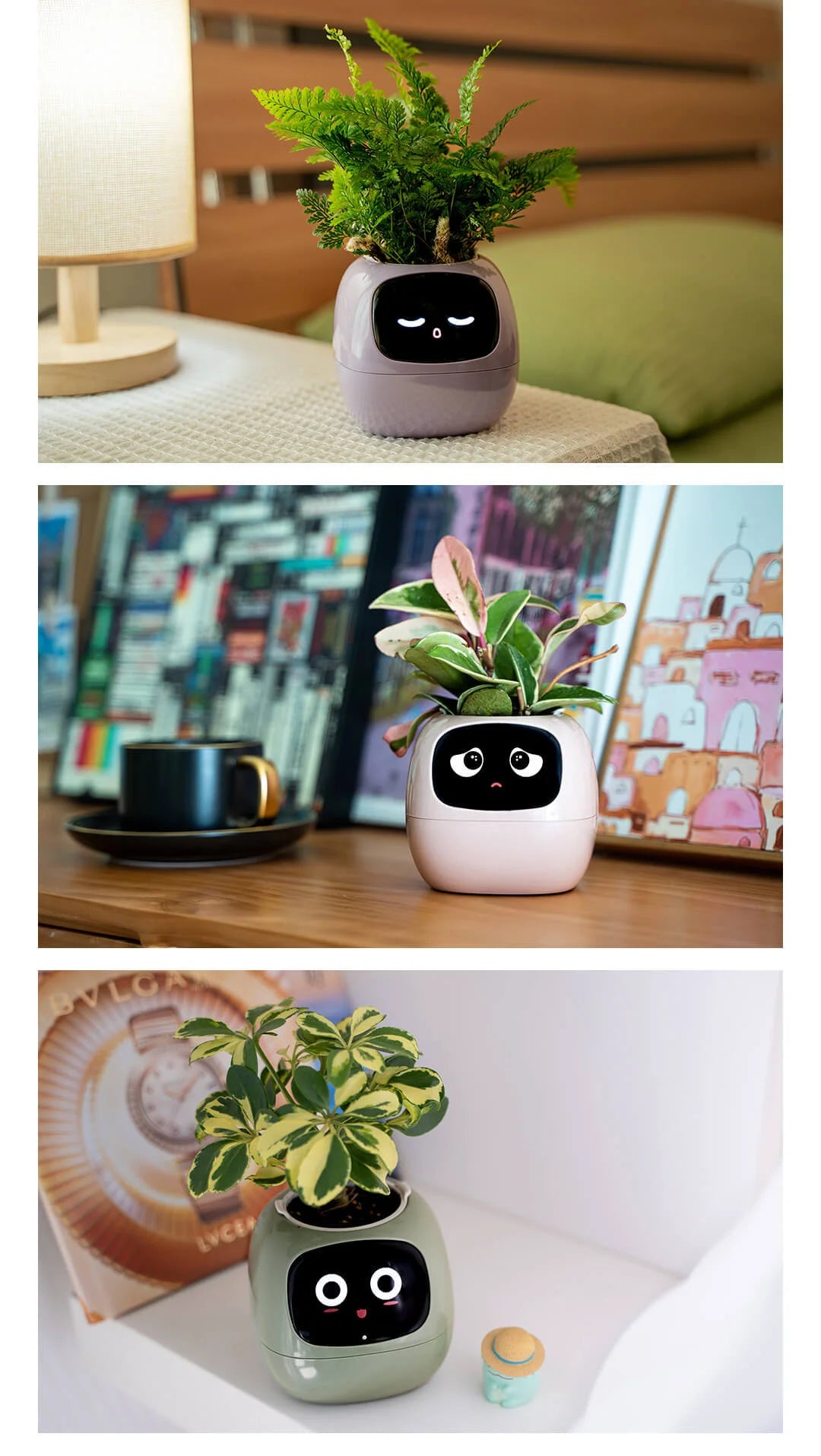 Smart AI Expression Planter