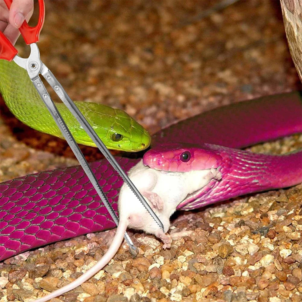 Snake Feeding Tongs