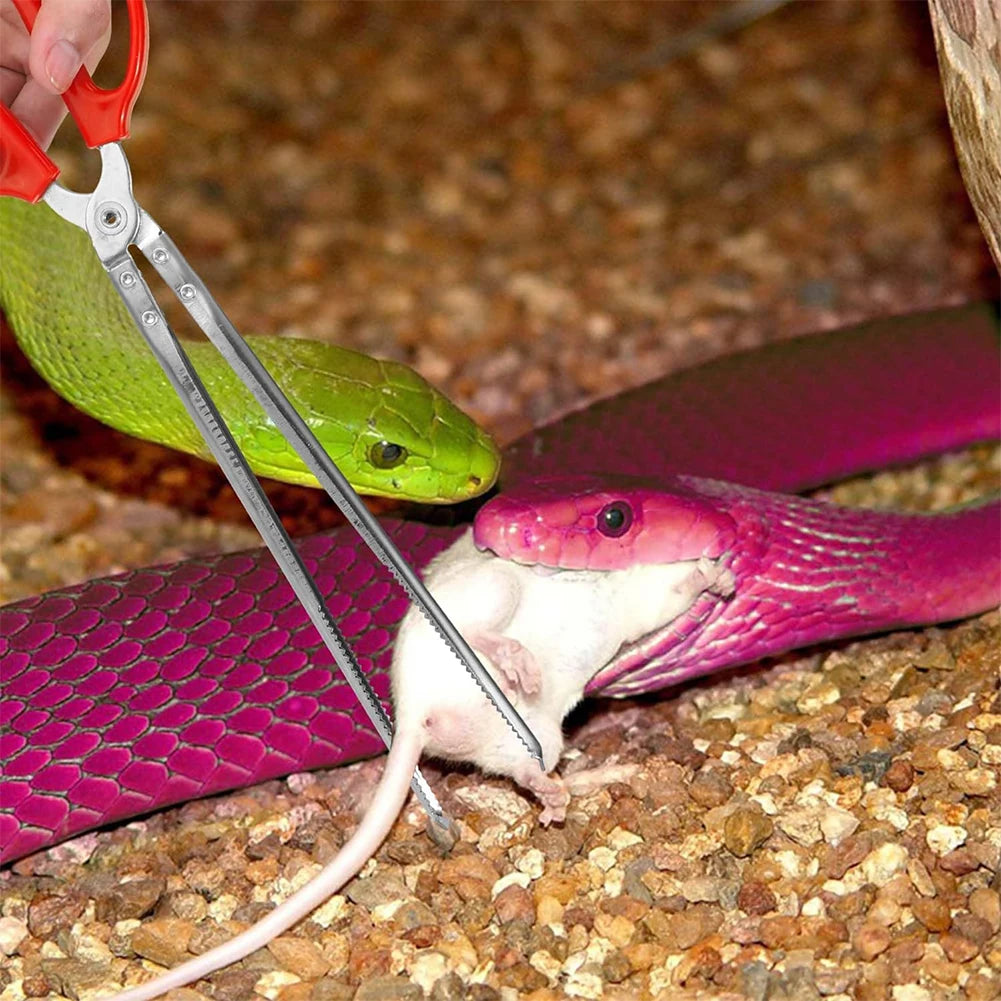 Snake Feeding Tongs