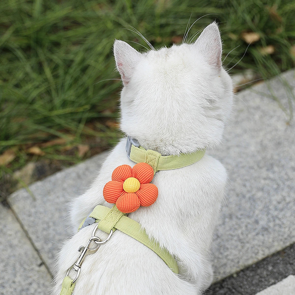 Breathable Adjustable Dog & Cat Harness with Leash Set
