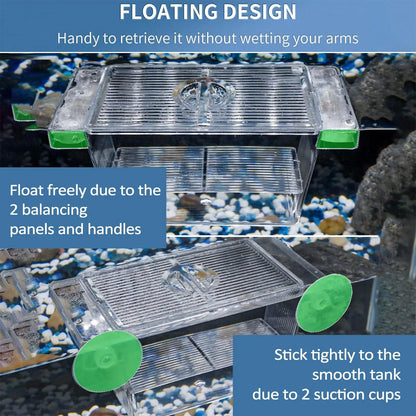 Acrylic Fish Breeding & Isolation Box for Aquariums