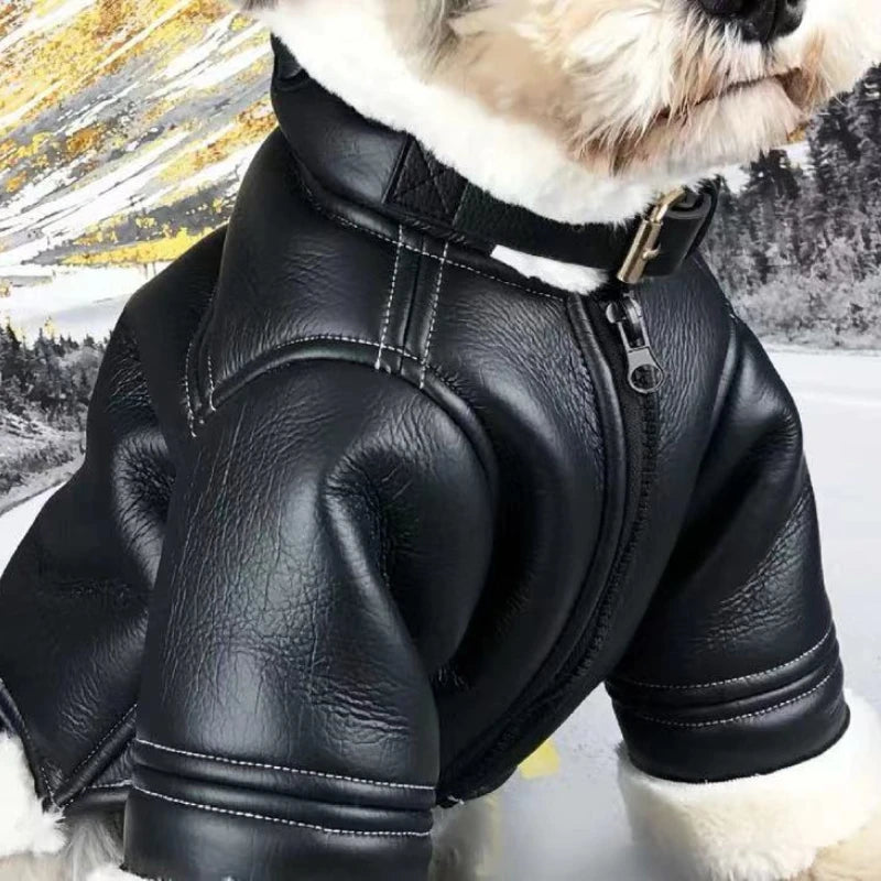 Winter Leather Dog Jacket Coat