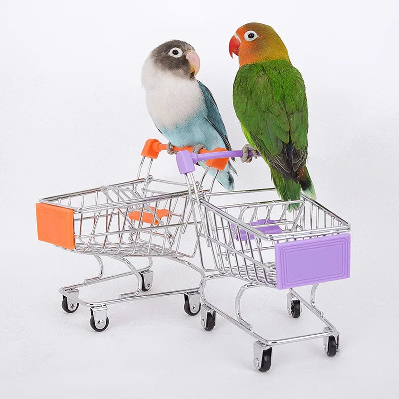 Interactive Bird Training Toy Set