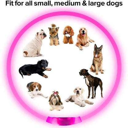 USB Rechargeable LED Dog Collar
