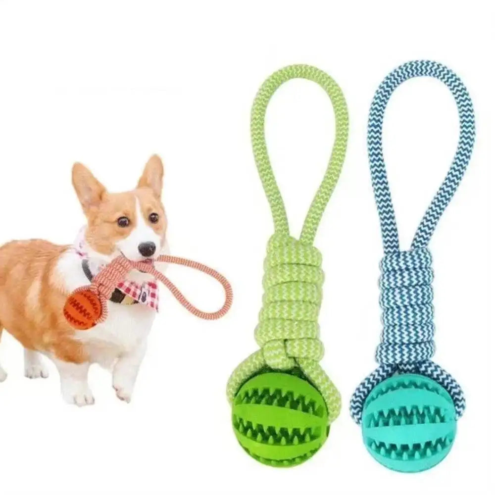 Rope Treat Ball Dog Toy
