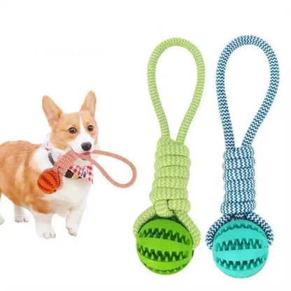 Rope Treat Ball Dog Toy