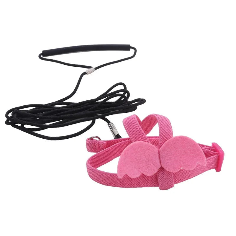 Parrot Training Harness & Anti-Bite Leash Set