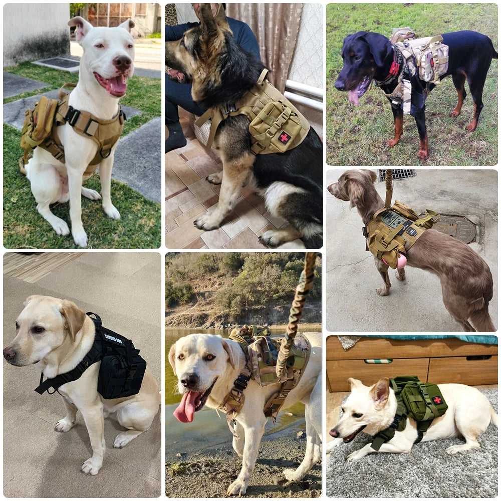 Tactical Dog Training Harness