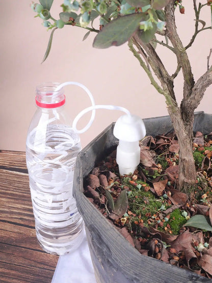 Ceramic Watering Spikes Set