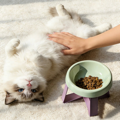 Elevated Anti-Spill Pet Food Bowl for Cats