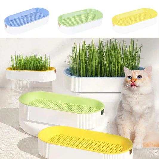 Hydroponic Cat Grass Growing Kit