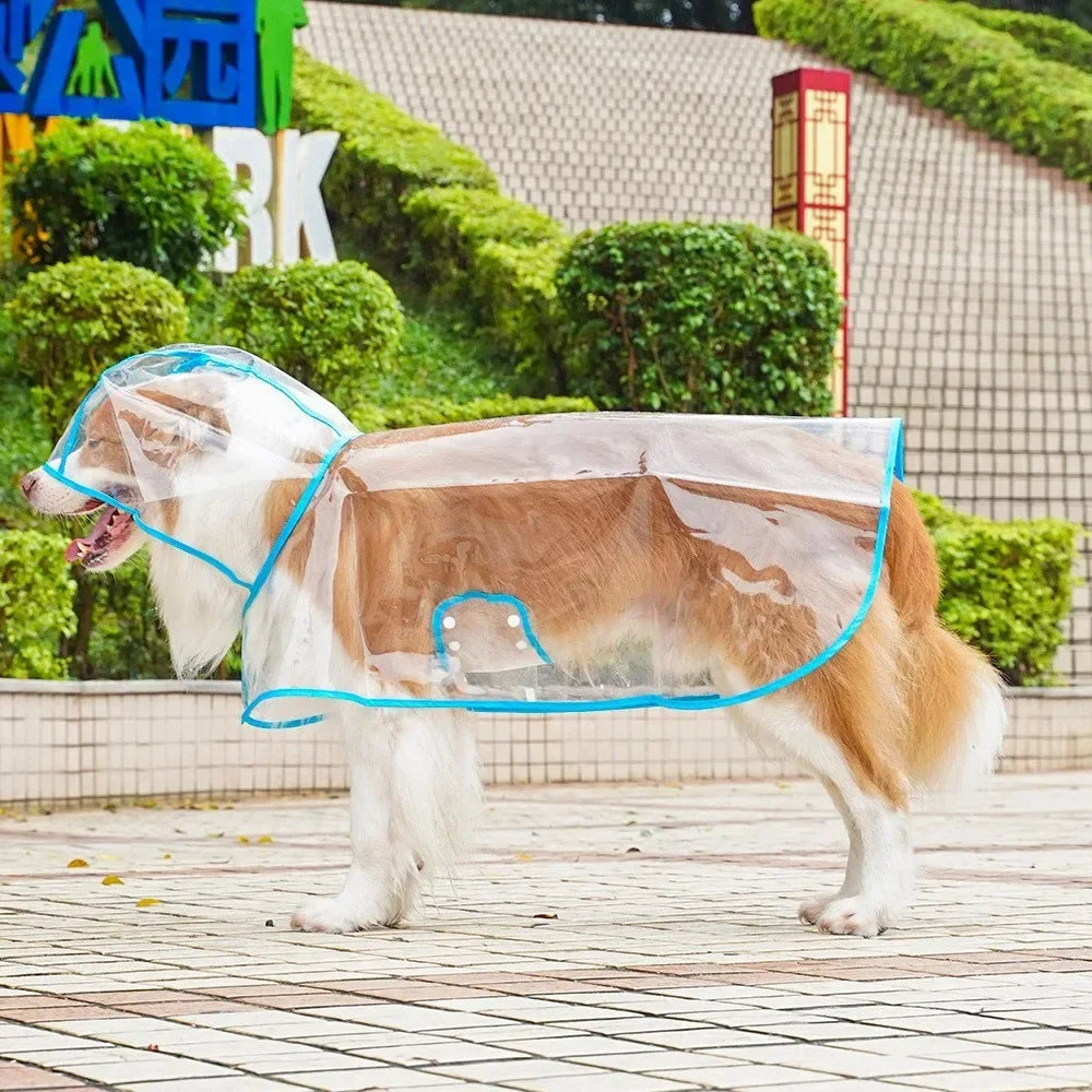 Transparent Waterproof Dog Raincoat