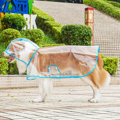 Transparent Waterproof Dog Raincoat