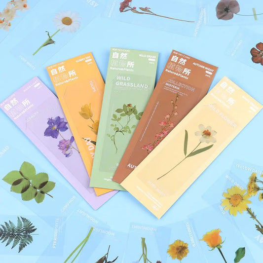 Translucent Flower Bookmark Set