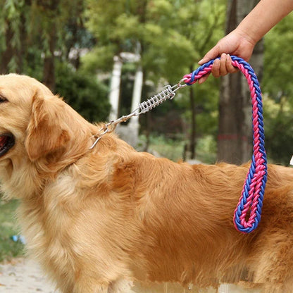 Shock Absorbing Dog Leash – Braided Nylon Training Lead