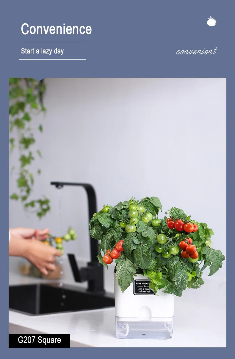 Self-Watering Plant Pot