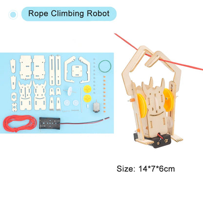 DIY Science Toys