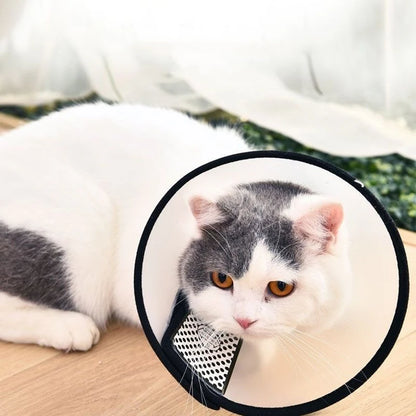 Transparent Pet Recovery Collar