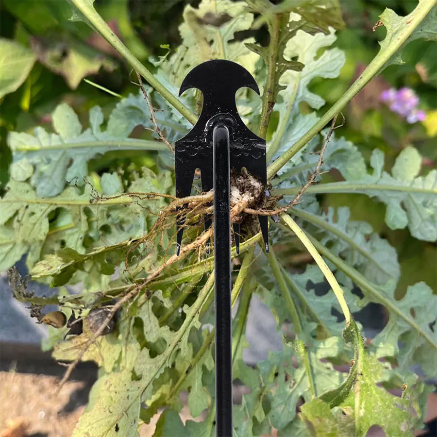 Garden Weed Removal Cultivator Hoe