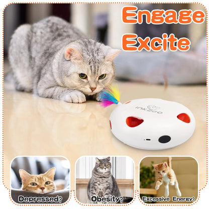 Interactive Whack-A-Mole Cat Toy