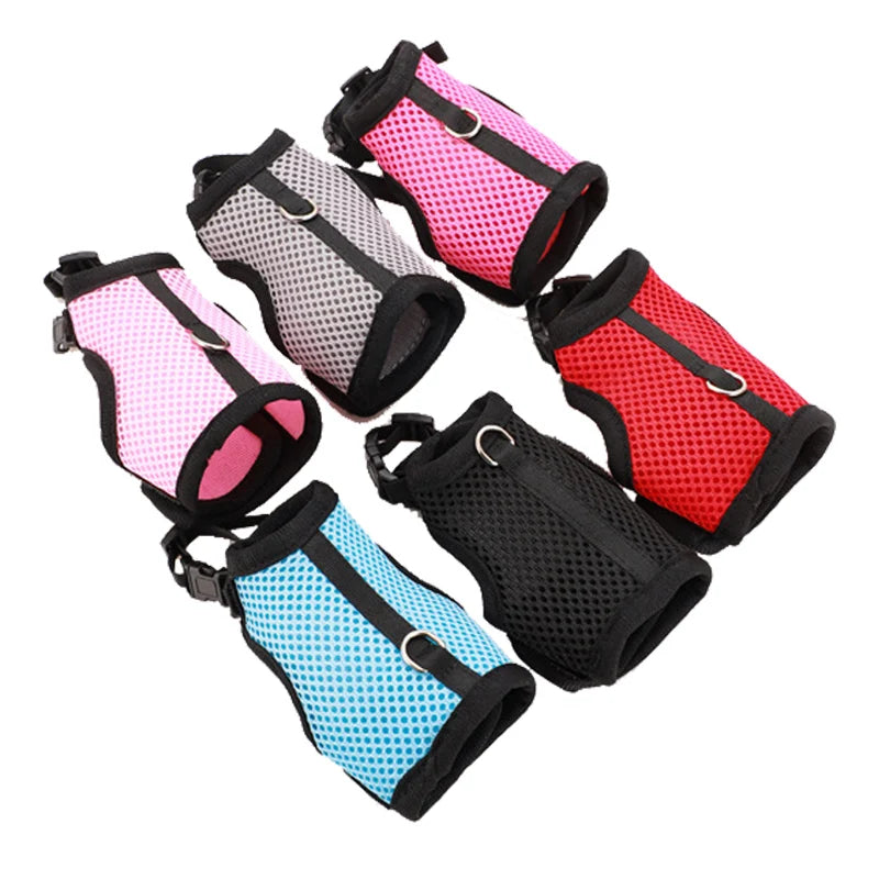 Breathable Small Pet Harness & Leash Set