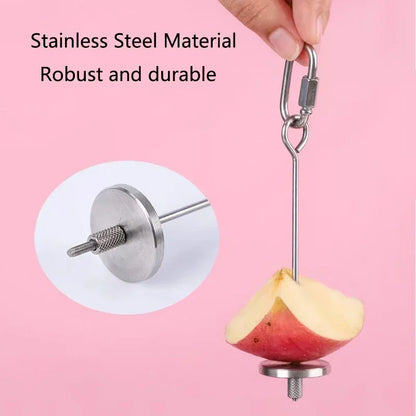 Stainless Steel Bird Fruit & Vegetable Feeder Fork