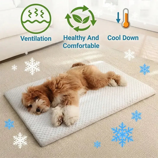 Cooling Cat Bed with Thick Padding