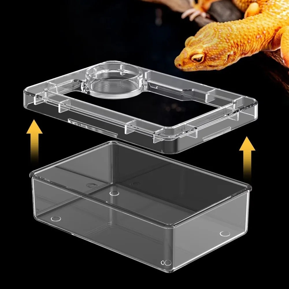 Anti-Escape Reptile Feeding Bowl